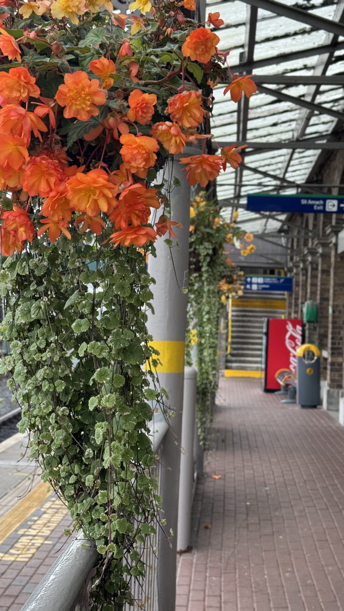 Drogheda, Ireland