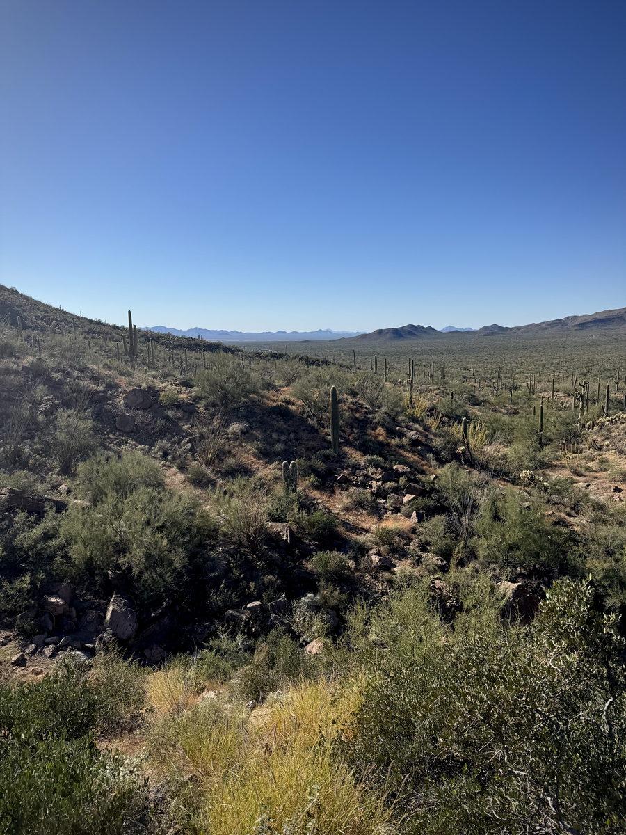 Tucson Mountains