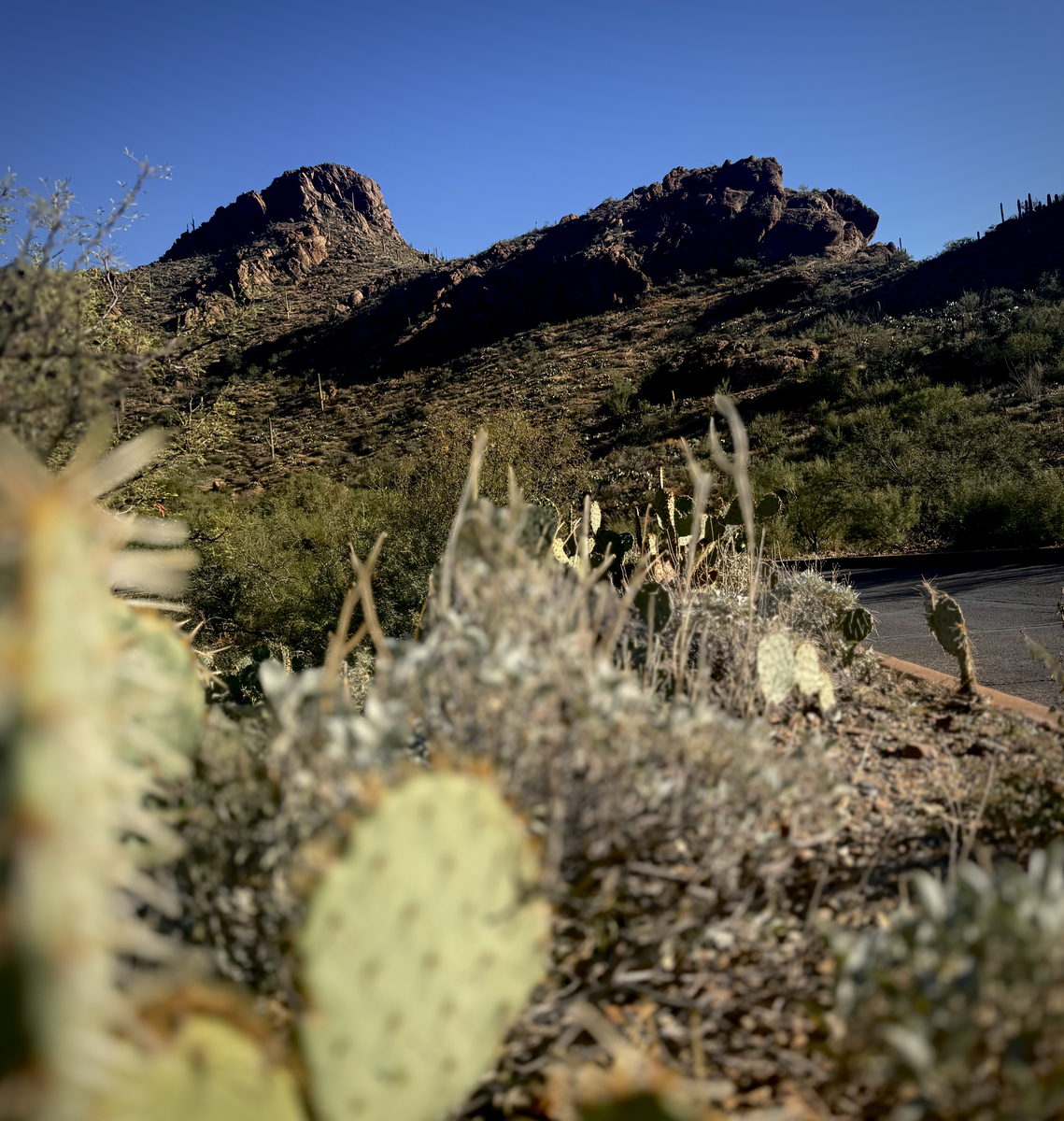 Gates Pass