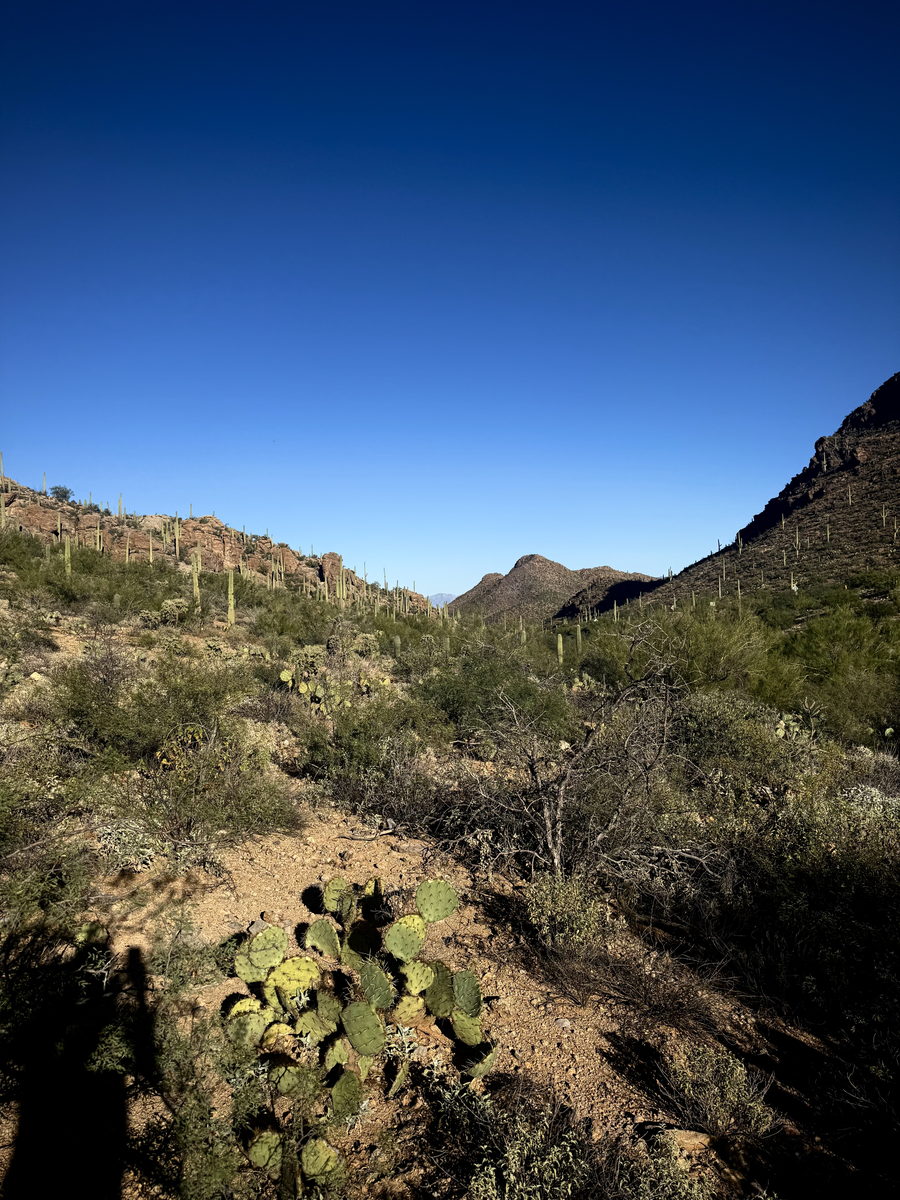 Gates Pass