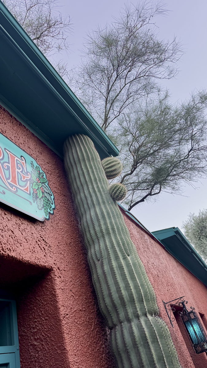 Tucson Herb Store