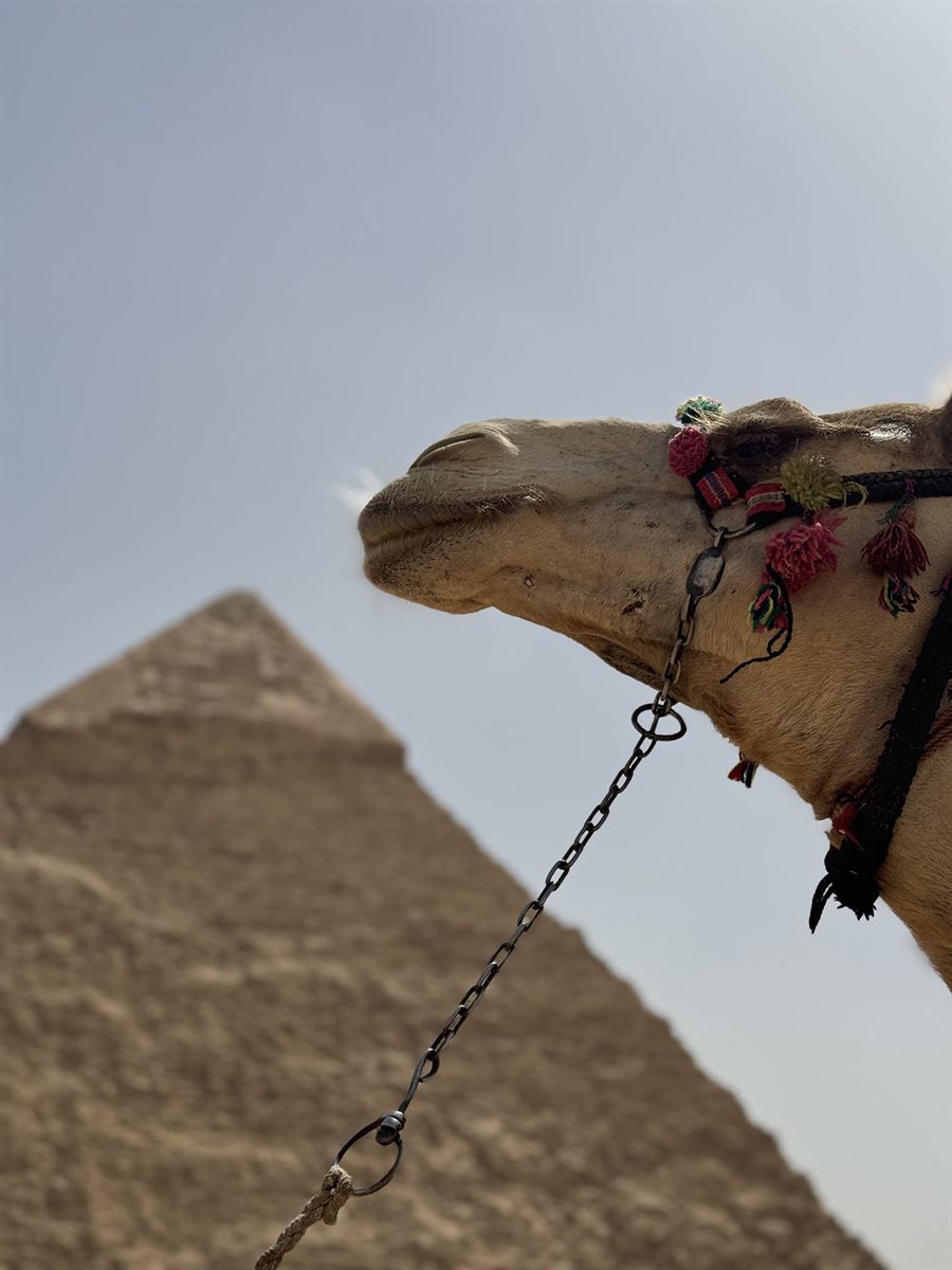 Giza, Egypt