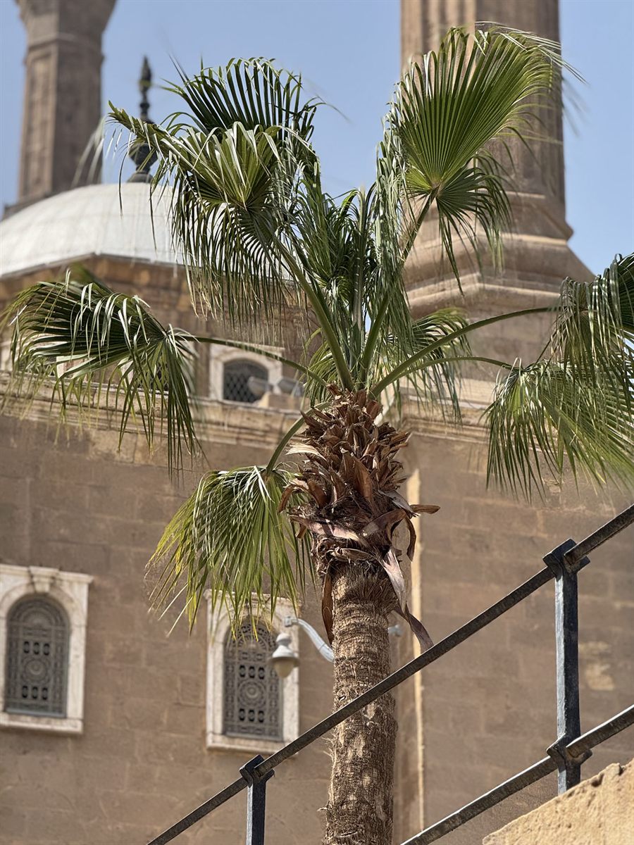 Cairo, Egypt
