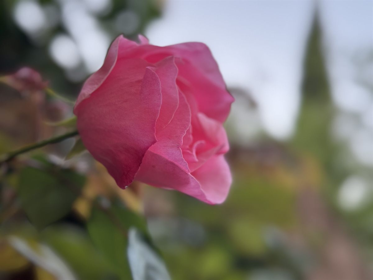 Granada, Spain